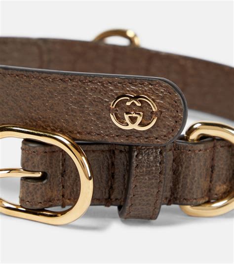 dog collars gucci